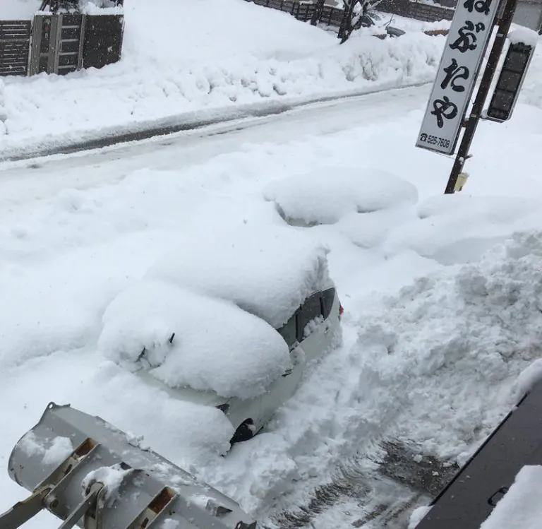 少し出てきたアセアセ